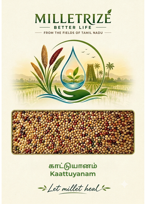 Kaatu Yanam